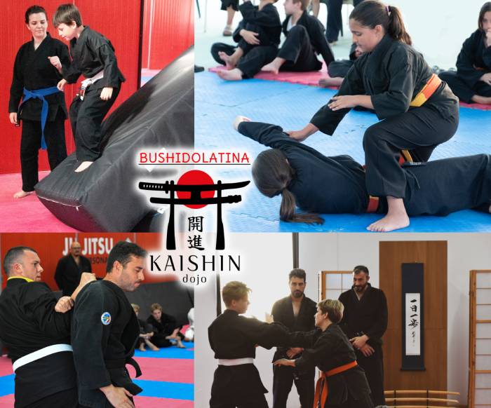 Lezioni arti marziali latina